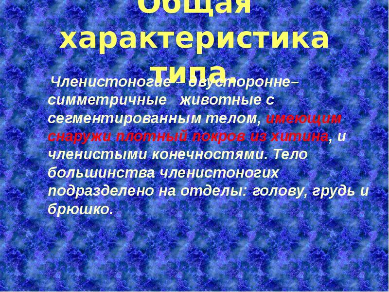 У членистоногих членистое только. Членистоногие — двусторонне-симметричные животные.. Членистоногие симметрия тела.