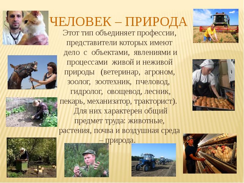 Проект человек природа