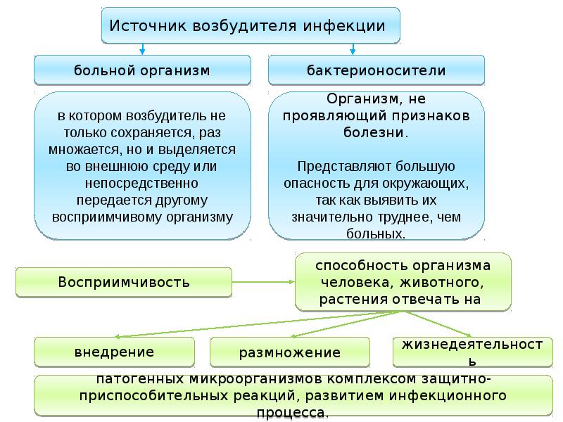 Презентация инфекционные заболевания и их профилактика