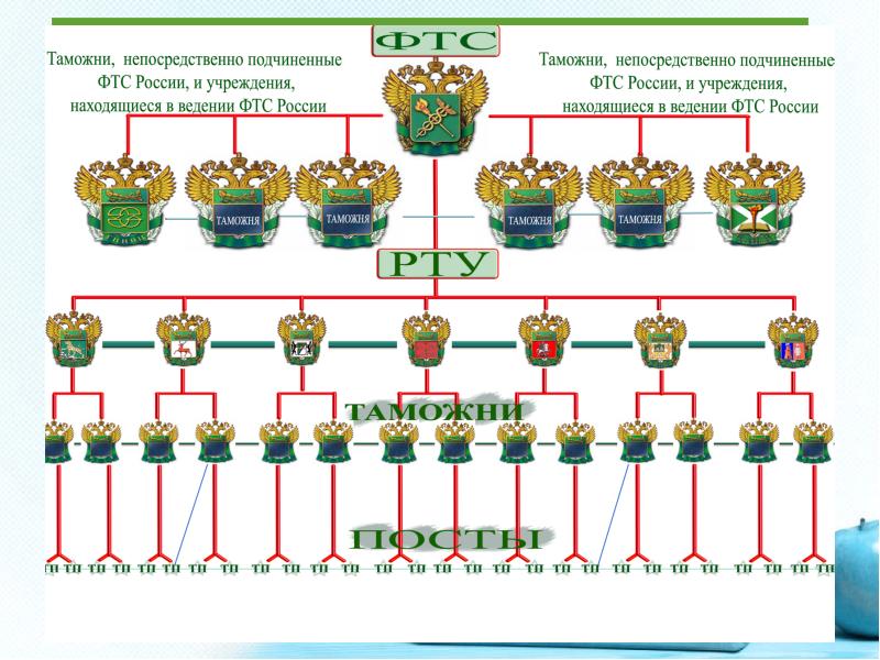 Органы таможни. Структура таможенной службы РФ. Структура ФТС РФ. Схема таможенных органов РФ. Структура таможни России.