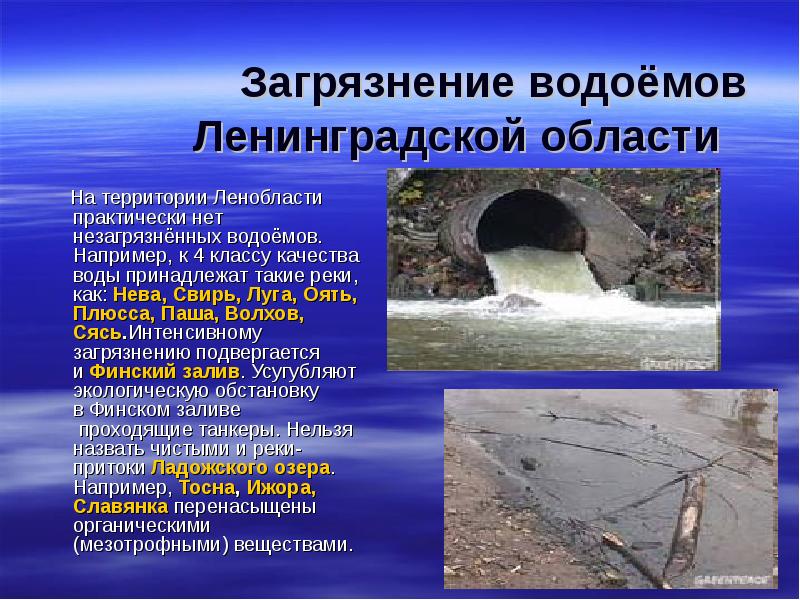 Загрязнение водоёмов     Ленинградской области   