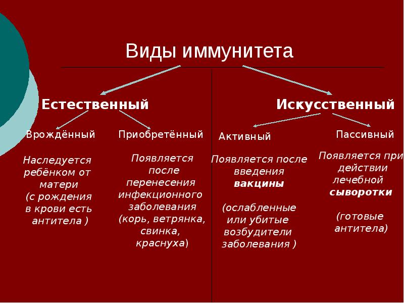 Классификационная схема иммунитета