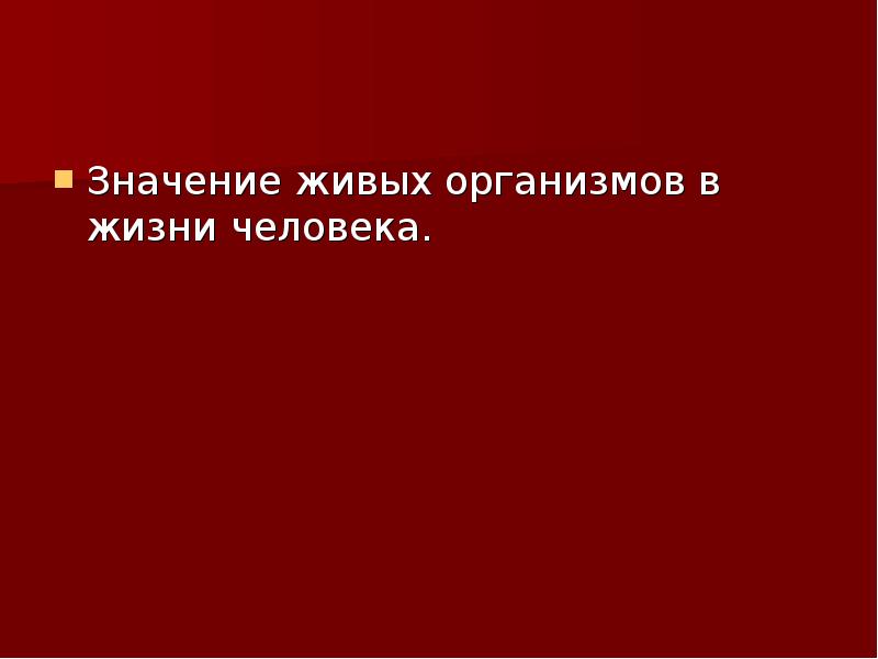 Презентация значение живых организмов в природе и в жизни человека 5 класс