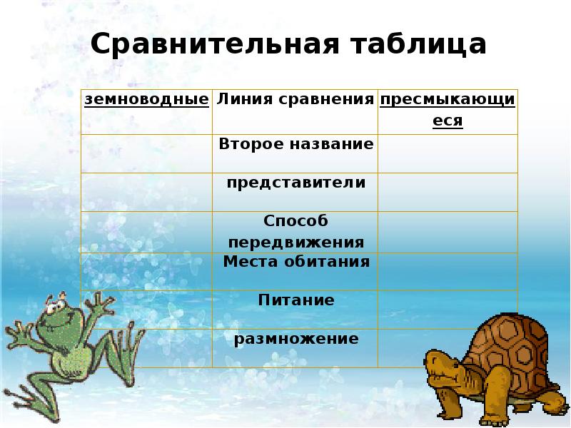 Сравнительная характеристика земноводных и пресмыкающихся по плану