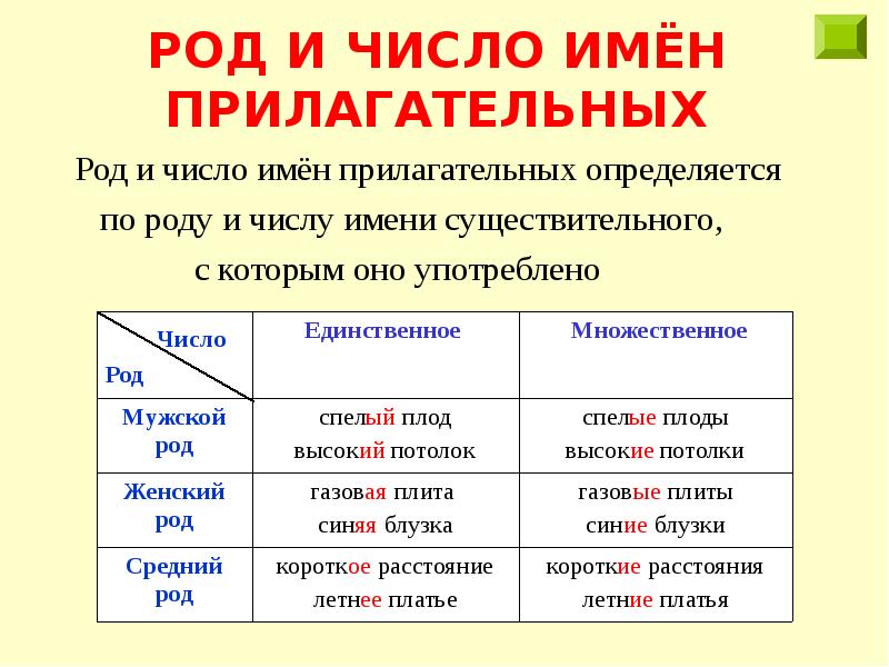 Презентация русский язык 2 класс школа россии единственное и множественное число имен прилагательных