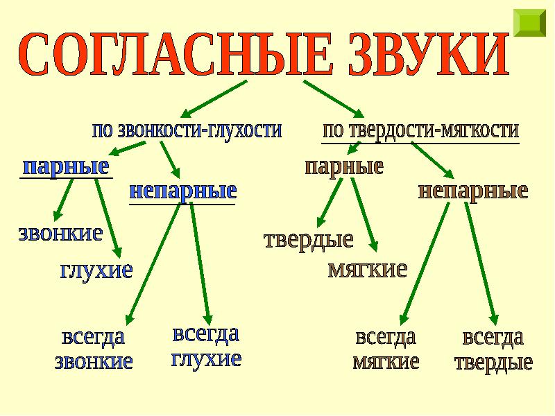 Презентация все правила по русскому языку