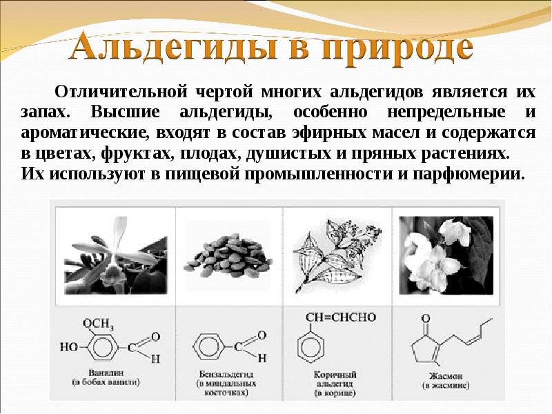 Распространение эфирных масел в природе схема