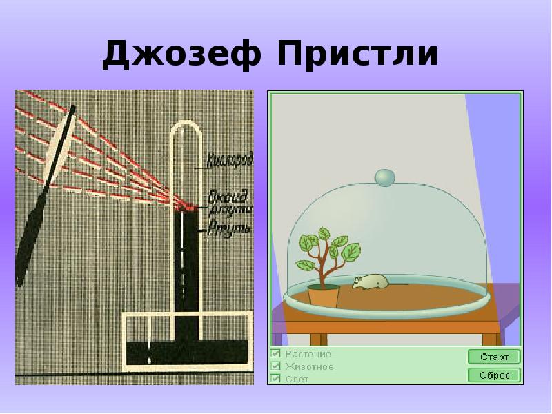 шееле). джозеф пристли кислород. опыт открытия кислорода пристли. джозеф пристли опыт кислород. получение кислорода пристли.