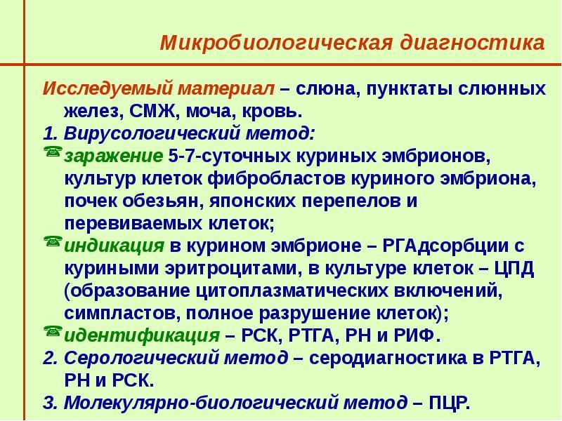 Парагрипп микробиология презентация