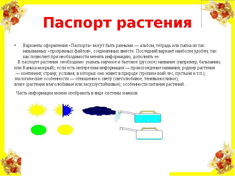 Паспорт растения образец