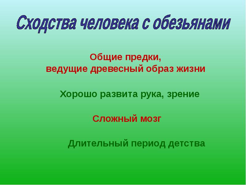 Древесный образ жизни. Наши предки - древесные жители. Древесный образ жизни ведут. Древесный образ жизни предков сходства.