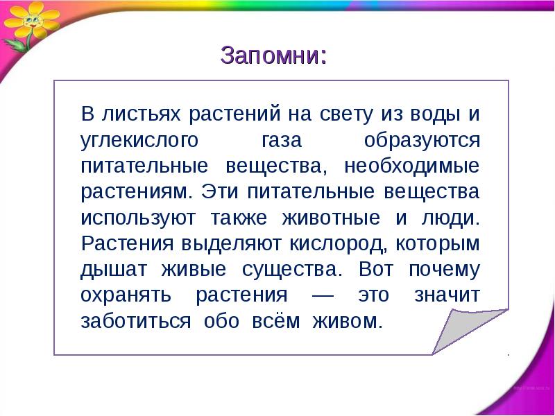 Тема солнце растения и мы с вами. Солнце растения и мы с вами. Солнце растения и мы с вами 3. Солнце растения и мы с вами 3 класс. Проект на тему солнце растение и мы с вами.