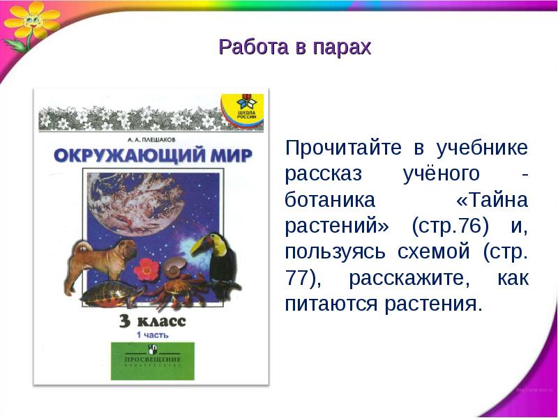 Тема солнце растения и мы с вами. Солнце растения и мы с вами 3 класс. Тайна растений 3 класс. Солнце растения и мы с вами 3 класс презентация. Солнце растение и мы с вами рассказ.