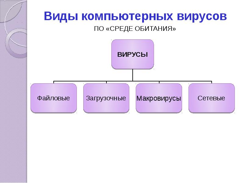 Виды компьютерных вирусов