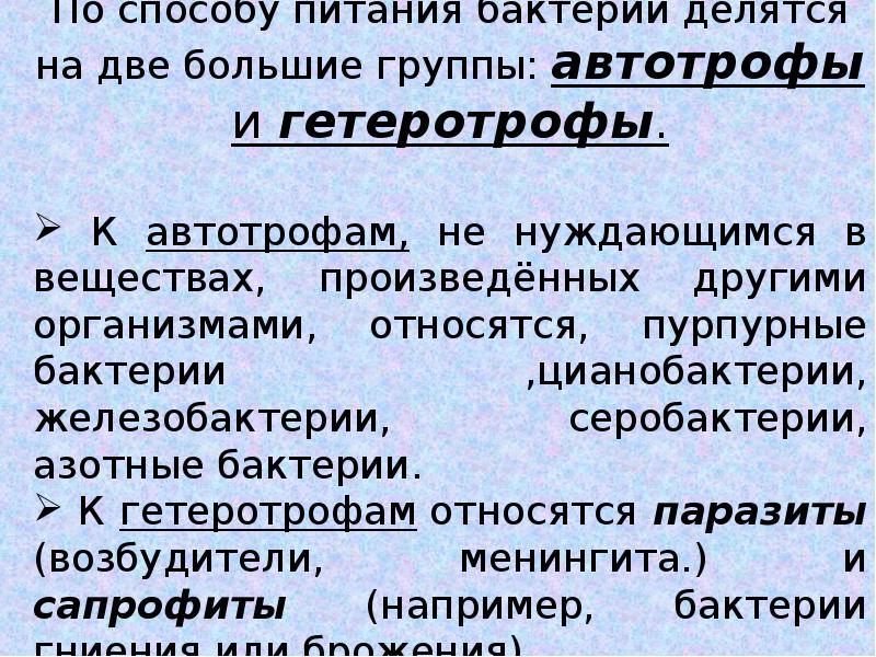 Симптомы бактериальной. По питанию бактерии делятся на две большие группы. Бактерии делятся на 2 группы. По способу питания бактерии делятся на две группы. Микробы делятся на 2 группы.