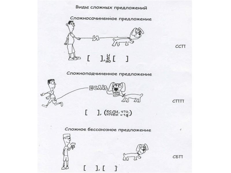 Правило сложносочиненные и сложноподчиненные предложения схема