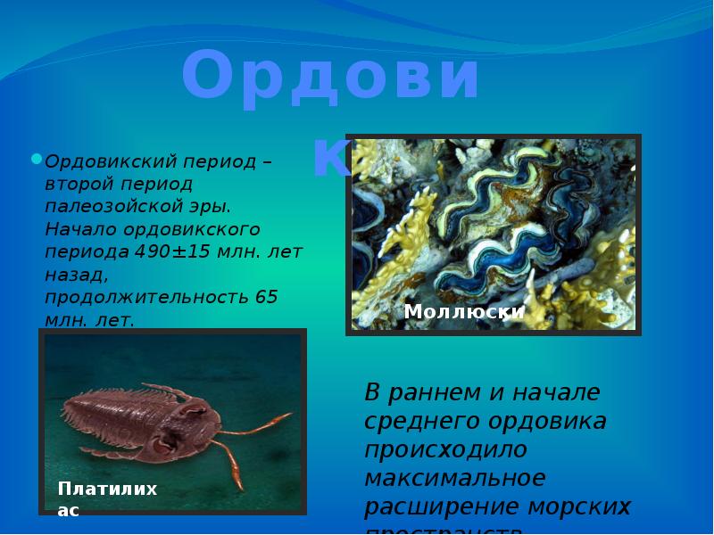 Палеозойская эра проект