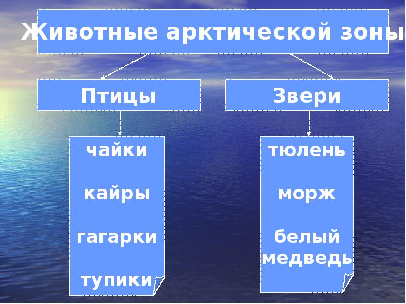 Арктическая пустыня презентация 4 класс