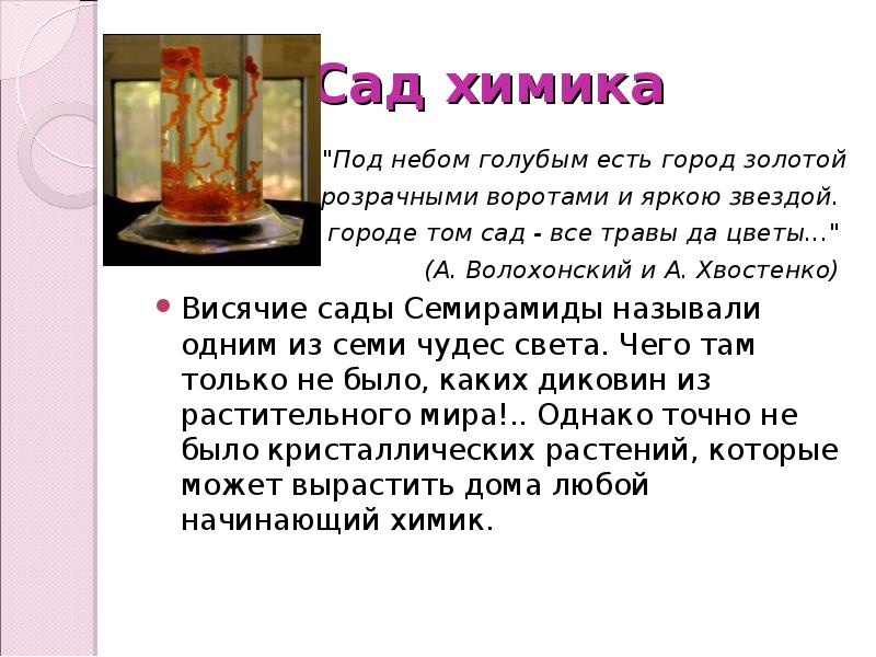 Сад химик. Сад химик. Погода в трубниково. Кингисепп садоводство химик. Трубниково ленинградская область фото.