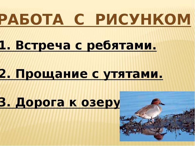 Составь план рассказа запиши или нарисуй ребята и утята