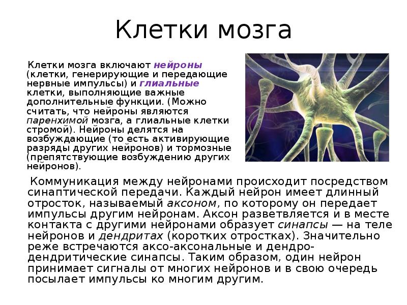 нервной клеткой является. нервной клеткой является. интеграция синаптических потенциалов на нейронах. структурно-функциональной единицы нервной системы (нейрона). стволовые клетки нервной ткани.