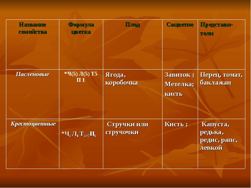 Семейства пасленовые и бобовые семейство сложноцветные 6 класс презентация