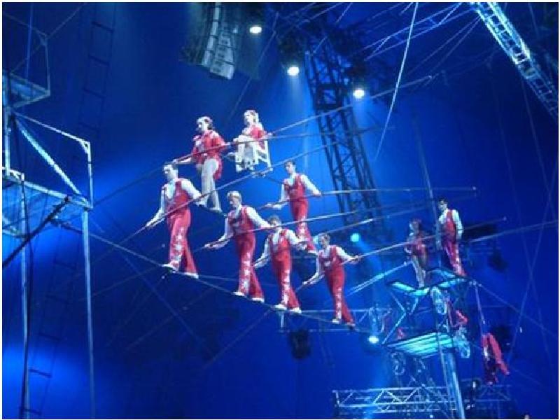 Дрессировщик в цирке. Работник цирка который. Работник цирка который. Клоун акробат. Работник цирка который.