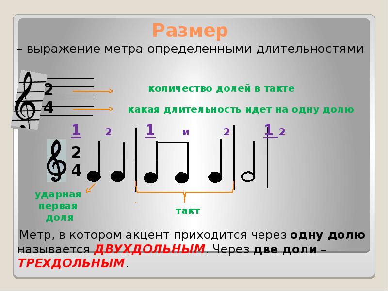 Определите размер которым написаны. Размер такта 2/4. Такт Тактовая черта размер 2/4. Музыкальный размер. Такт. Тактовая черта. Размер в Музыке.