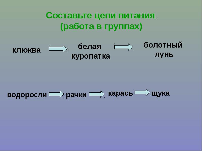 Составьте 4 цепи питания. Цепь питания водоросли. Цепь питания болота. Болотная цепь питания. Пищевая цепочка болота.