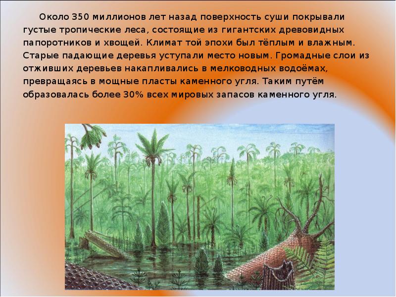 Около 350 миллионов лет назад поверхность суши покрывали густые тропические леса, Около 350 миллионов лет назад поверхность суши покрывали густые тропические леса,