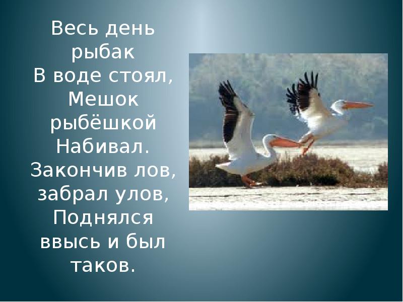 И был таков. Весь день Рыбак в воде стоял. Весь день Рыбак в воде стоял мешок рыбешкой. Весь день Рыбак в воде стоял мешок рыбешкой набивал закончил. Загадка весь день Рыбак в воде стоял.