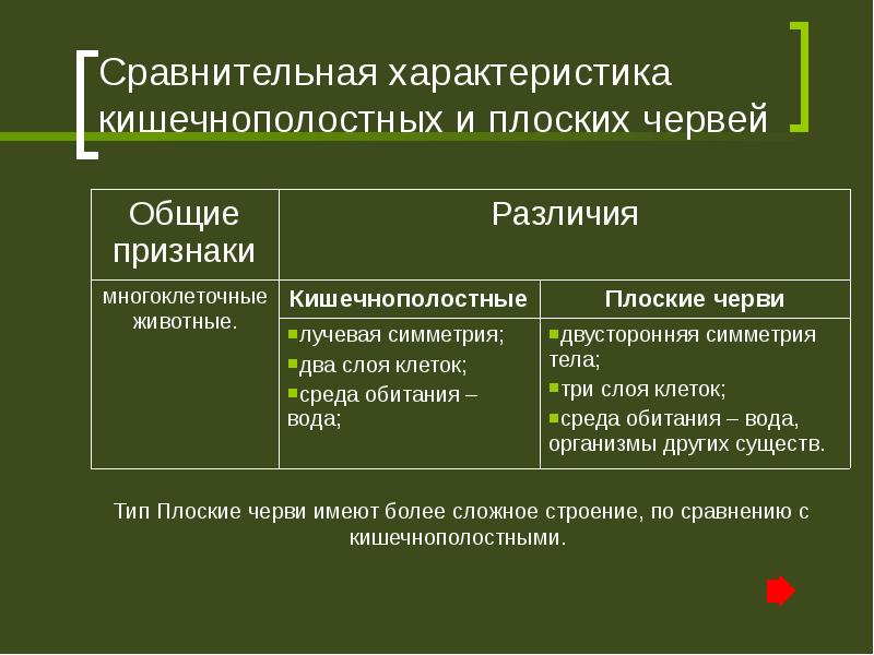 Признаки червей. Сравнение кишечнополостных и плоских червей таблица. Таблица сравнение строения типов кишечнополостных и плоских червей. Сравнительная характеристика кишечнополостных и червей. Сравнение строения кишечнополостных и плоских червей.