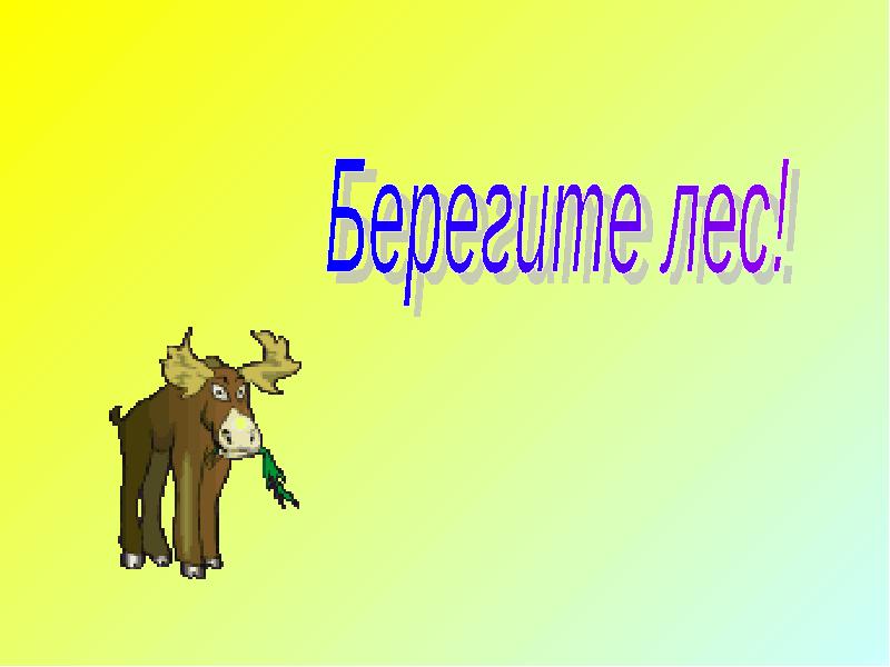 Жизнь леса 4 класс. Презентация на тему жизнь леса. Презентация на тему окружающий мир 3 класс жизнь леса. Проект на тему жизнь леса 2 класс. Надпись жизнь леса.