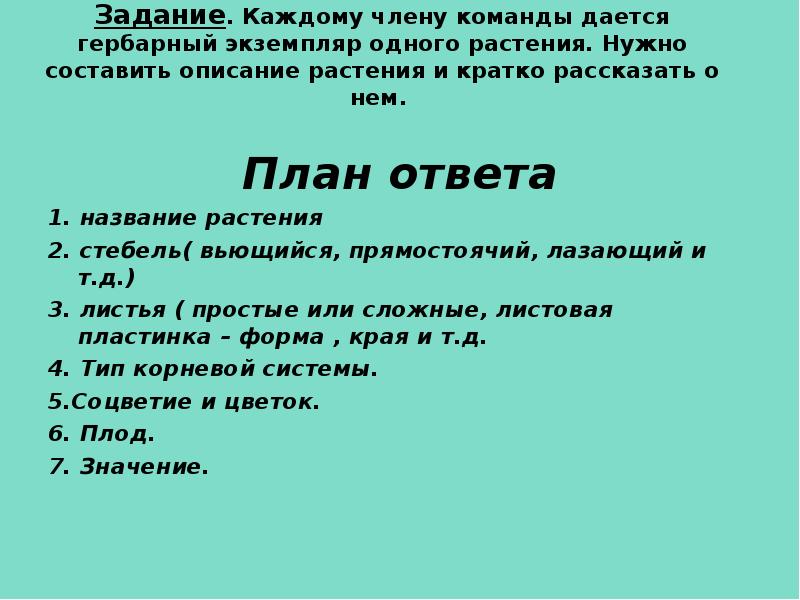 Составить план описания. План описания растения. План рассказа о растении. План описания растения 2 класс. Описание растения по плану.