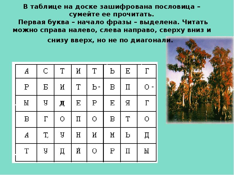 Зашифрованные пословицы. Зашифрованные пословицы в буквах. Найди названия деревьев. Зашифрованные названия растений. Таблица с зашифрованной пословицей.