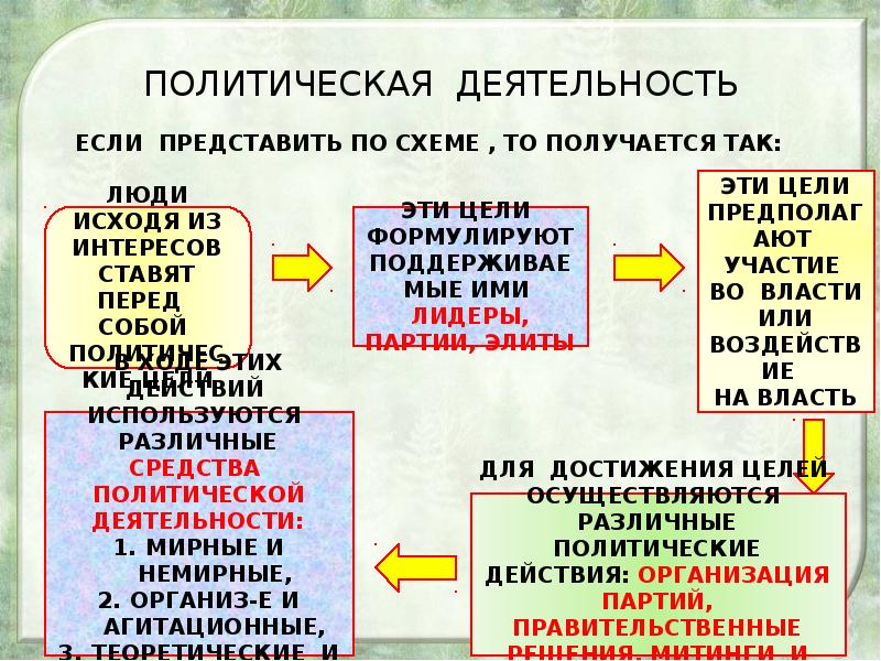 Особенности политической деятельности план