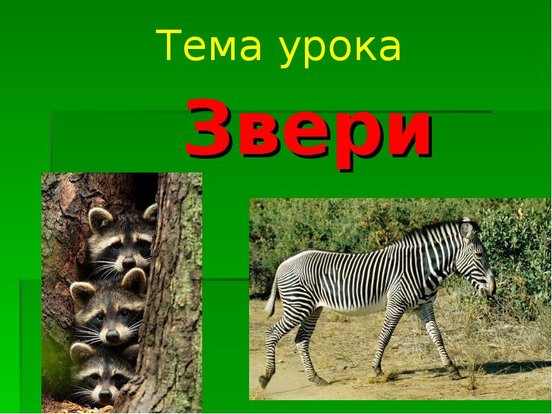 Урок животные 2 класс. Презентация на тему животные. Темы для презентации животн. Животные для презентации. Тема урока животные.