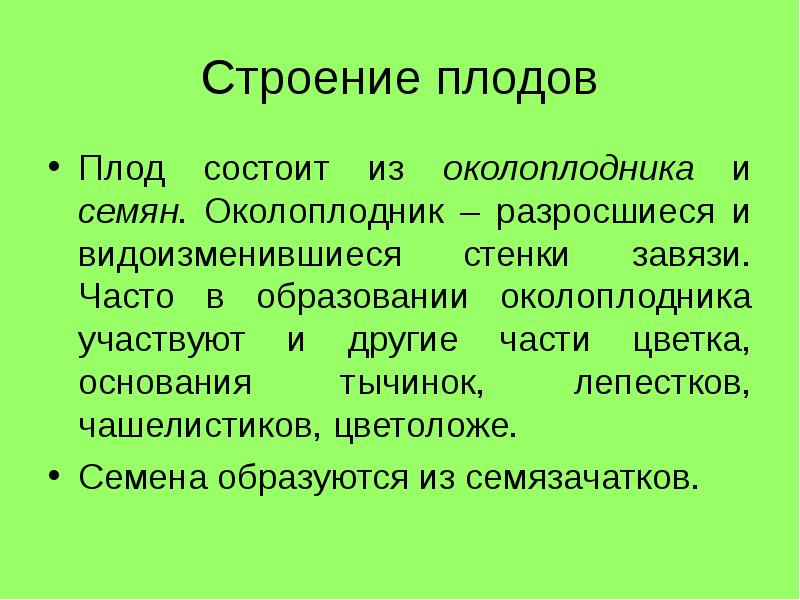 Плод состоит из. Околоплодник и семя. Околоплодник и семена. Околоплодник — разросшиеся и видоизменившиеся стенки завязи. Плод строение и функции 6 класс.