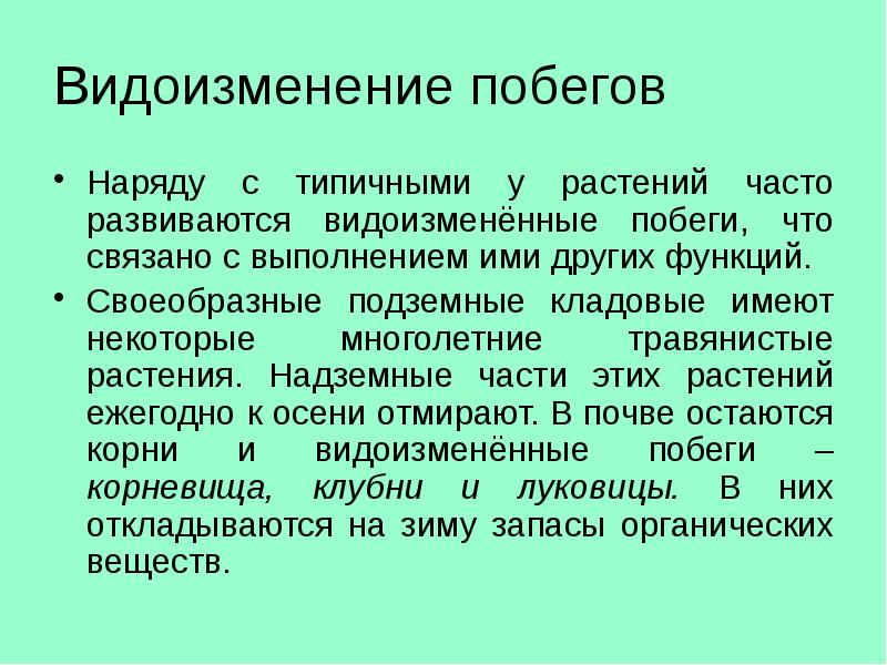 Видоизменение побегов Наряду с типичными у растений часто развиваются видоизменённые побеги,