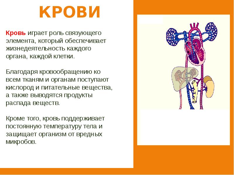 Человек человека 4 класс презентация