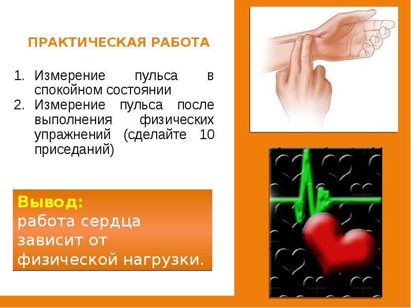 Пульс в спокойном состоянии. Практическая работа измерение пульса. Практическая работа по измерению пульса. Практическая работа измеряем свой пульс. Пульс после выполнения физических упражнений.