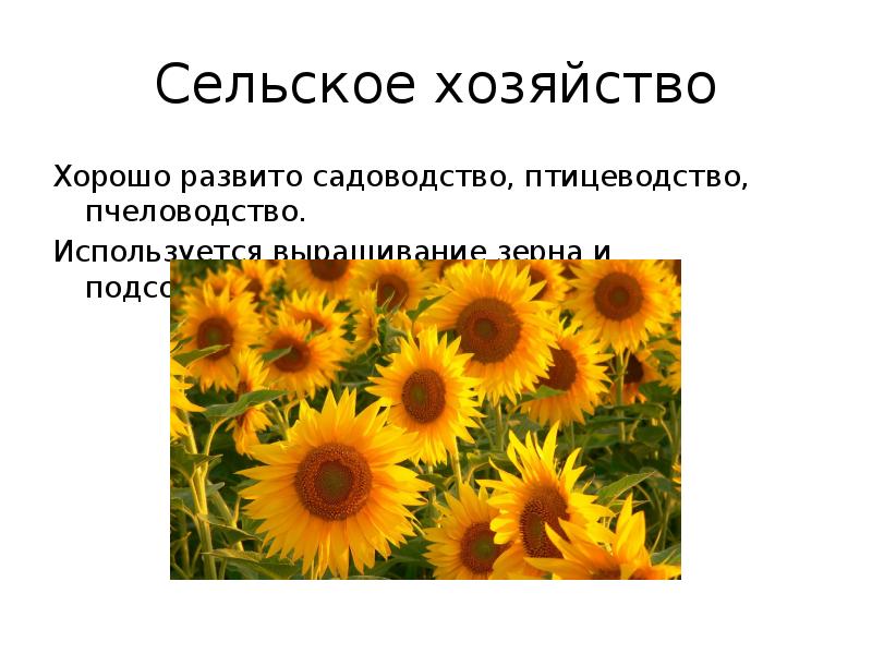 Сельское хозяйство
Хорошо развито садоводство, птицеводство, пчеловодство.
Используется выращивание зерна и Сельское хозяйство
Хорошо развито садоводство, птицеводство, пчеловодство.
Используется выращивание зерна и