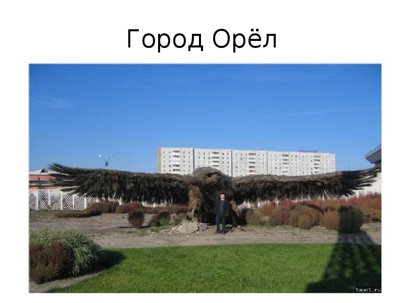 Проект о городе орел