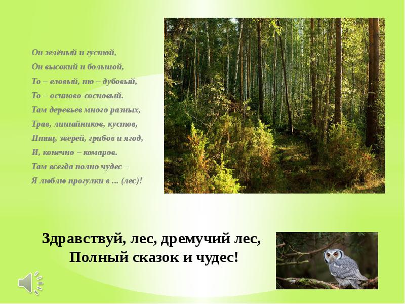 Лес там. Здравствуй лес. Здравствуй лес дремучий лес полный сказок и чудес. Лес полон сказок и чудес. Дремучие леса,полный сказок и чудес.