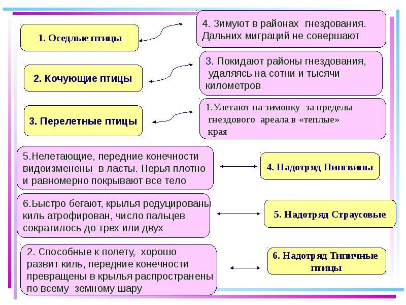 Экологические группы птиц таблица 7 класс