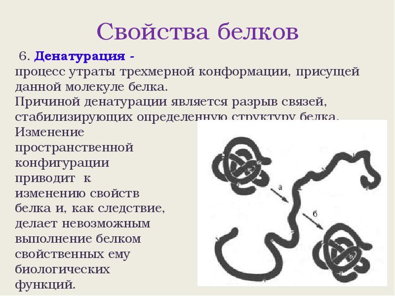 Свойства белков. Функции денатурации белка. Механизм денатурации белка. Причины денатурации белка. Денатурация гемоглобина.