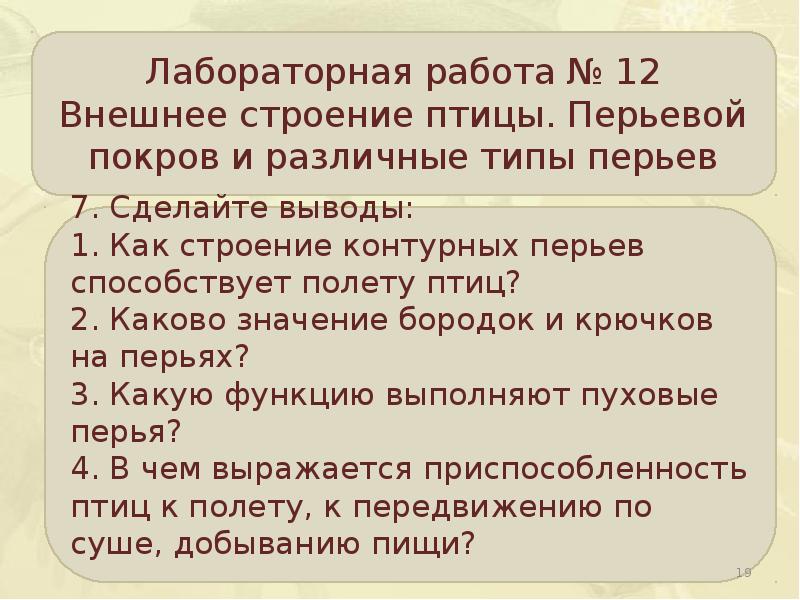 Лабораторная работа внешнее строение птицы. Абораторная работа "внешнее строение птиц" ответы. Внешнее строение и перьевой Покров птиц лабораторная работа. Какую функцию не выполняет перьевой Покров птиц.