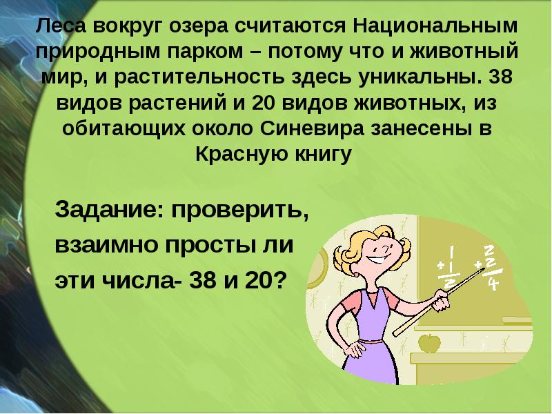 Леса вокруг озера считаются Национальным природным парком – потому что и Леса вокруг озера считаются Национальным природным парком – потому что и