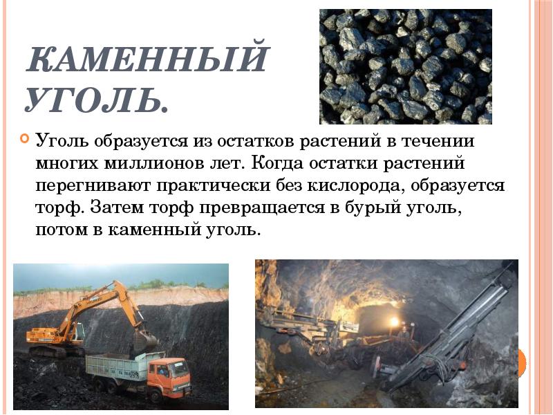 Каменный уголь. Уголь образуется из остатков растений в течении многих миллионов