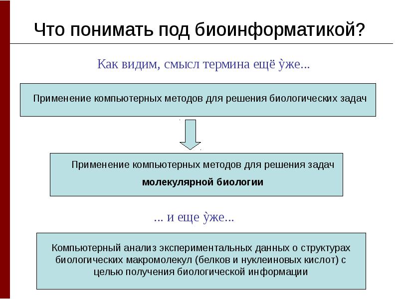 Понятие биоинформатика презентация